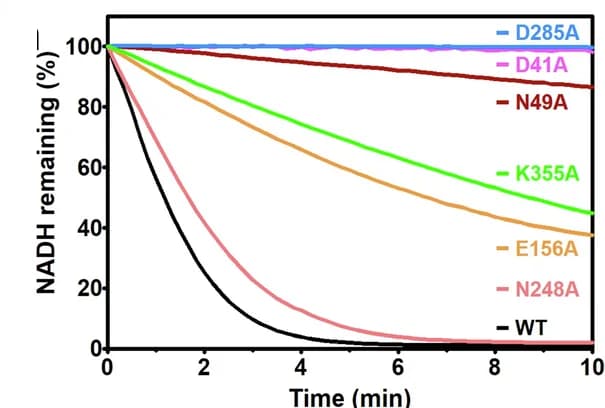 Open access visualization of Line Plot, Reaction Curves, hFSP1, Mutants, Enzyme Activity Assay