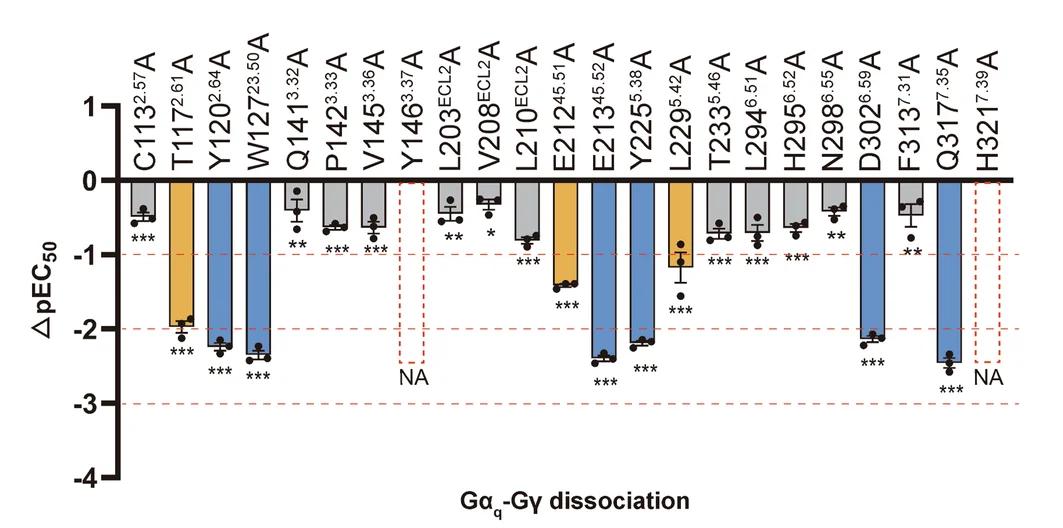 Open access visualization of Bar Plot, Error Bars, BRET2 Assay, PrRP20-Induced Dissociation, Heterotrimeric Gq Protein
