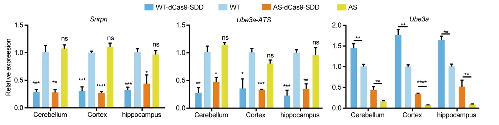 Open access visualization of Bar Plot, Error Bars, Clustered, Gene Expression, Snrpn
