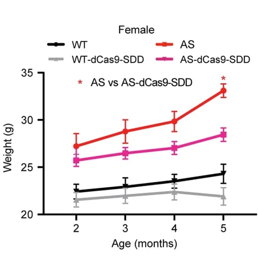 Open access visualization of Line Plot, Error Bars, Body Weight, Mice, WT-dCas9-SDD