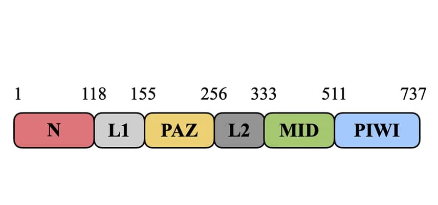 Open access visualization of Illustration, Workflow, Domain Organization, KmAgo
