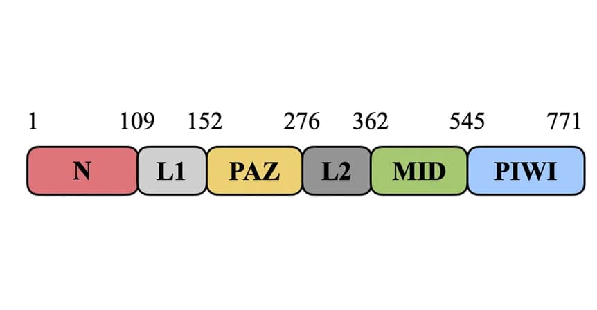 Open access visualization of Illustration, Domain Organization
