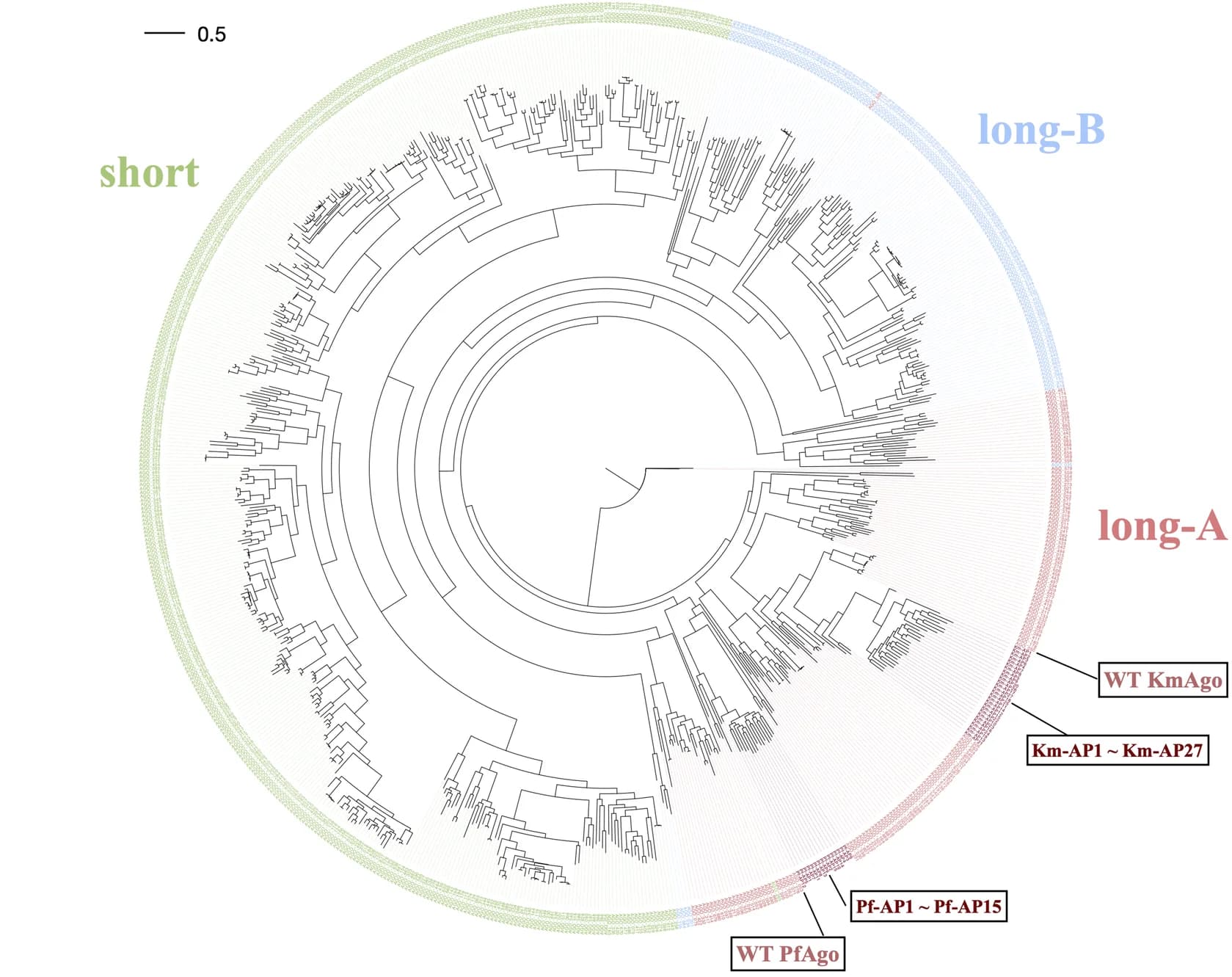 Open access visualization of Network, Pathway, Phylogenetic Tree, Protein Sequences, Km-APs