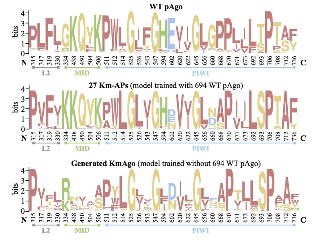 Open access visualization of Illustration, Conservative Patterns, WT pAgo, Km-APs, KmAgo Sequences