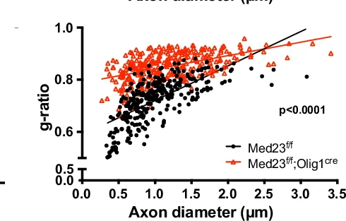 Open access visualization of Scatter Plot, Regression Plot, Myelin G-Ratio, Axon Diameters, Optic Nerves