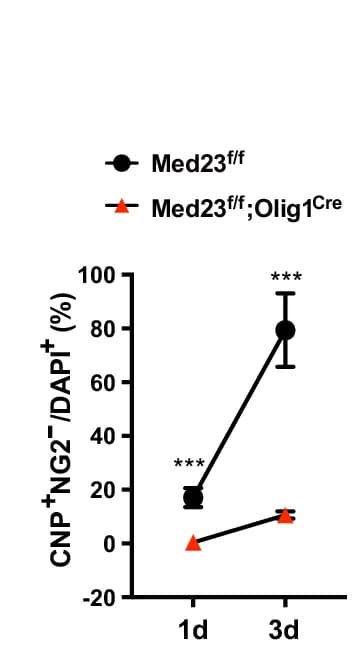 Open access visualization of Line Plot, Error Bars, Quantification, CNP Positive NG2 Negative OLs, DAPI Positive Cells