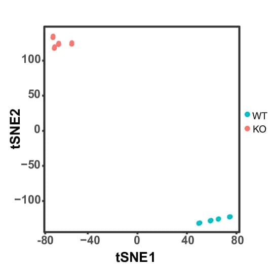 Open access visualization of Scatter Plot, UMAP, t-SNE analysis, RNA-seq data, Med23 +/+ iOLs
