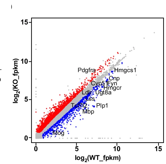 Open access visualization of Scatter Plot, Volcano Plot, RNA-Seq, Transcriptome profiling, Ctrl