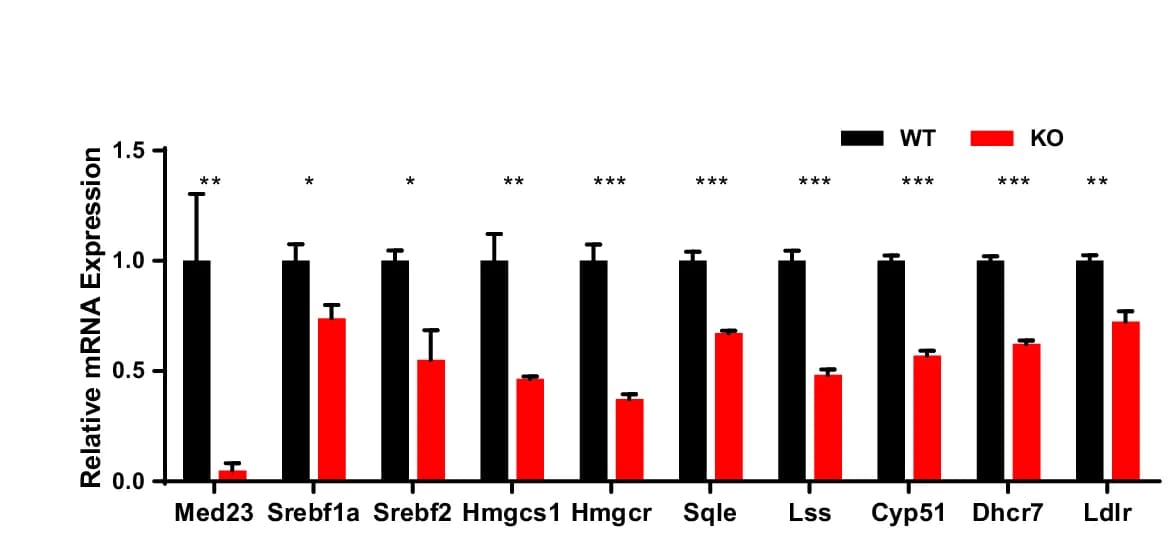 Open access visualization of Bar Plot, Error Bars, Clustered, qRT-PCR analysis, Cholesterol metabolic genes