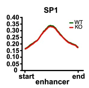 Open access visualization of Line Plot, ChIP-seq Signals, Sp1, Active Enhancer Regions, Med23 +/+ iOLs