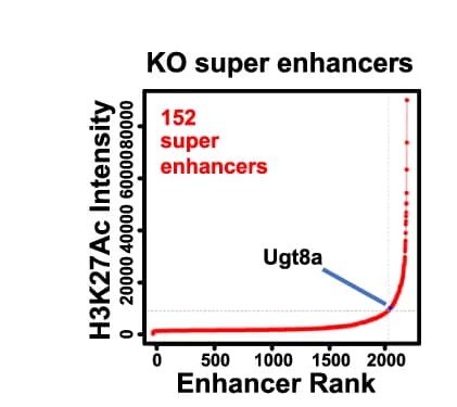 Open access visualization of Line Plot, Hockey-stick Plots, Enhancers, Super-Enhancers, H3K27Ac ChIP-seq