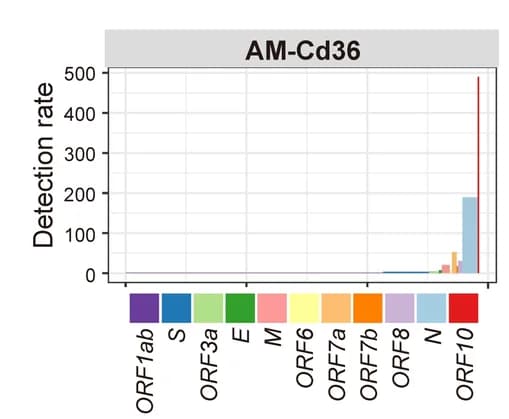 Open access visualization of Bar Plot, Detection Rate, SARS-CoV-2 Genes, AM-Cd36, Viral Gene