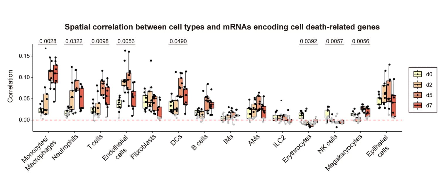 Open access visualization of Box Plot, Scatter Plot, Boxplot, Spatial Correlation, Cell Types