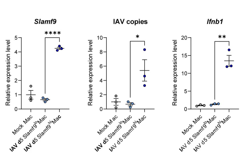 Open access visualization of Scatter Plot, Error Bars, mRNA Expression, Slamf9, IAV Copies
