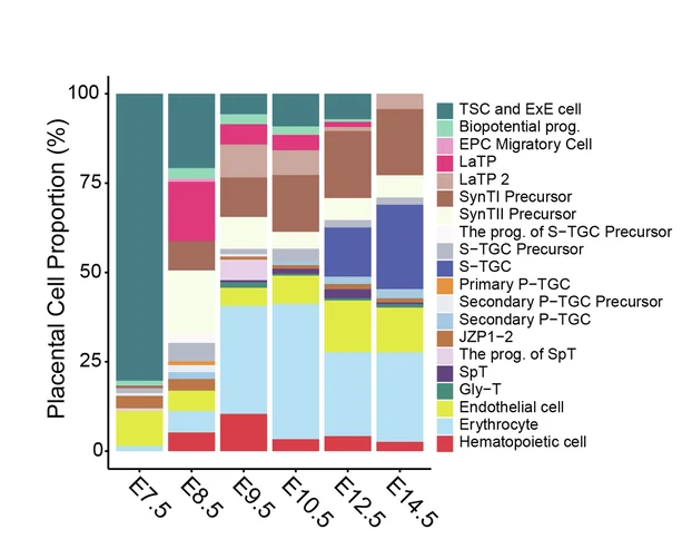 Open access visualization of Stacked Bar Plot, Labyrinth Cell Proportion, Allantois, Yolk Sac, Reichert's Membrane