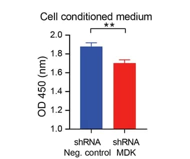 Open access visualization of Bar Plot, Error Bars, CCK-8 Assay, Endothelial Cells, iMDK