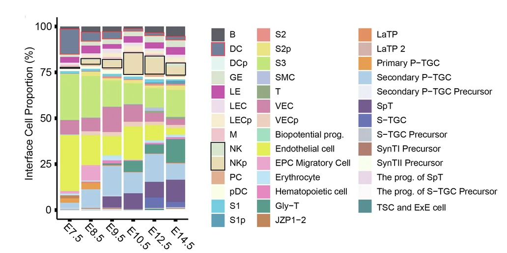 Open access visualization of Stacked Bar Plot, Cell Type Composition, Maternal-Fetal Interface