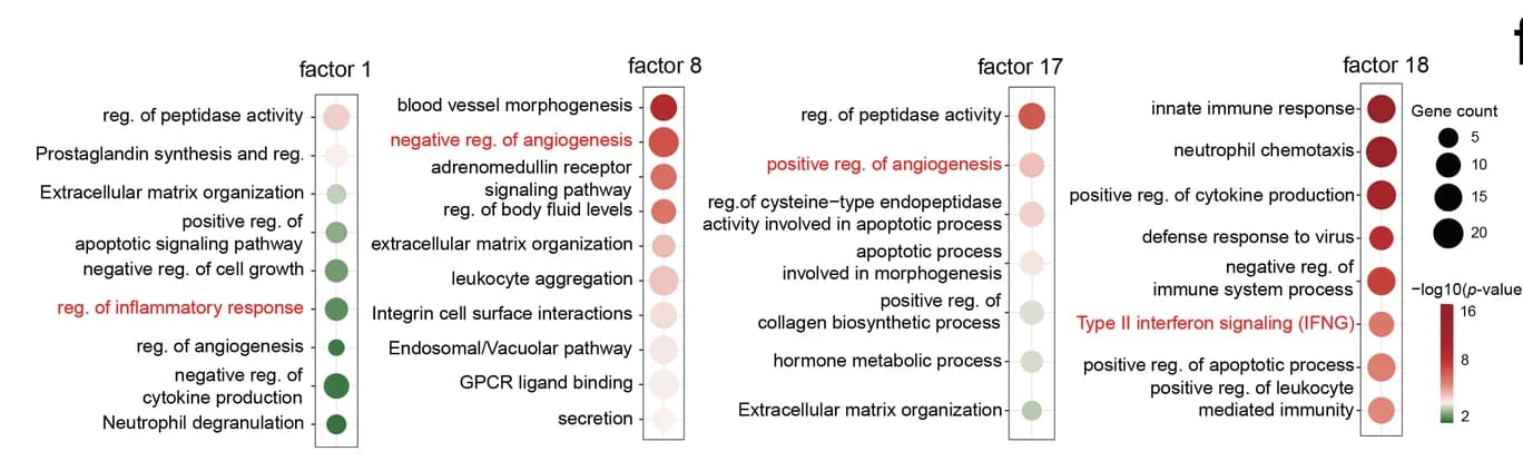 Open access visualization of Bubble Plot, Functional Enrichment, Weighted Genes, Factors