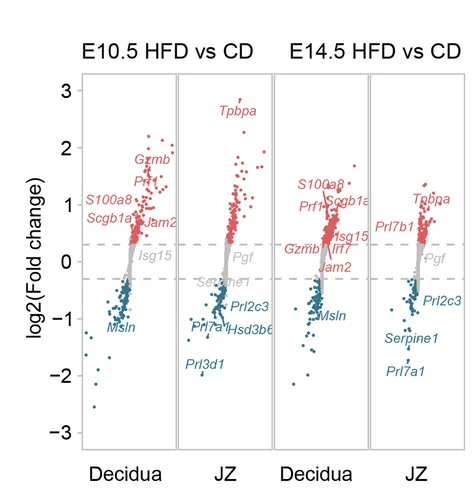 Open access visualization of Volcano Plot, Scatter Plot, Differentially Expressed Genes, Decidual, JZ