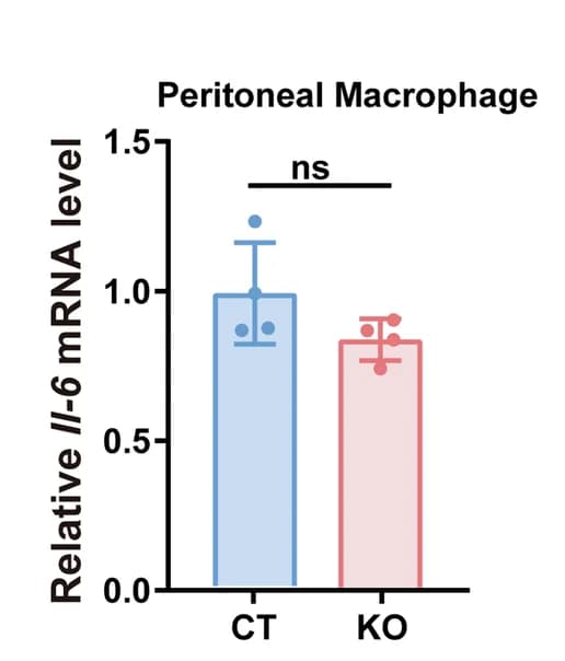 Open access visualization of Bar Plot, Error Bars, Tbc1d23 KO Mice, MnJβ Adjuvant, Peritoneal Macrophages