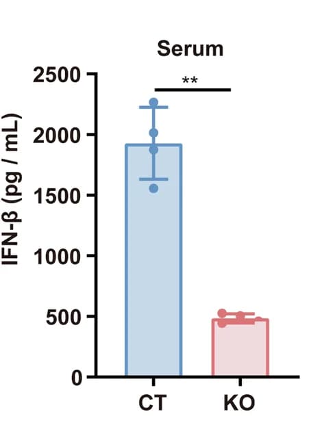 Open access visualization of Bar Plot, Error Bars, Tbc1d23 KO Mice, DMXAA, Serum IFN-β