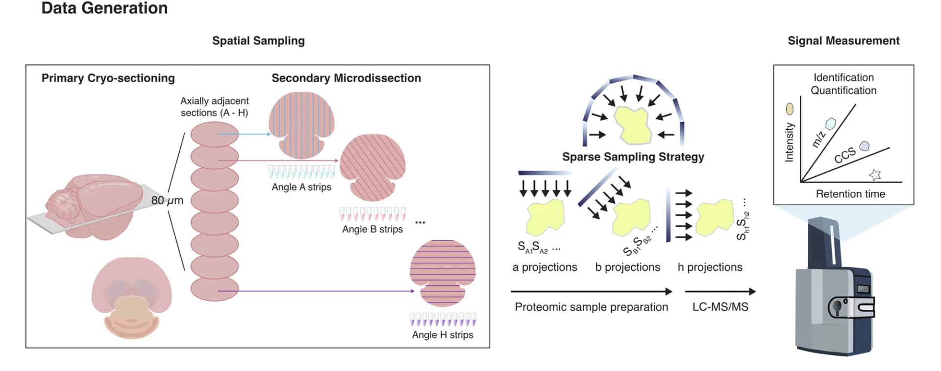 Open access visualization of Workflow, Illustration, S4P Sampling, Data Generation