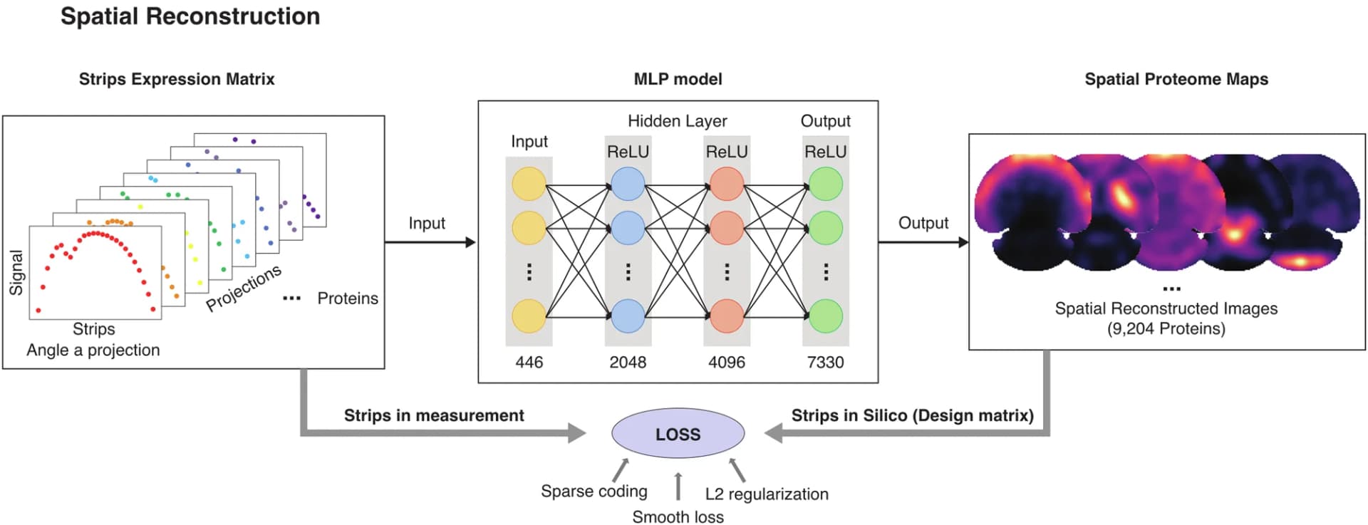 Open access visualization of Workflow, Scatter Plot, Heatmap, Spatial Reconstruction, DeepS4P