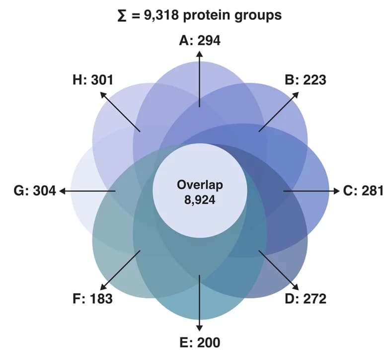 Open access visualization of Venn Diagram, Proteins, Slice
