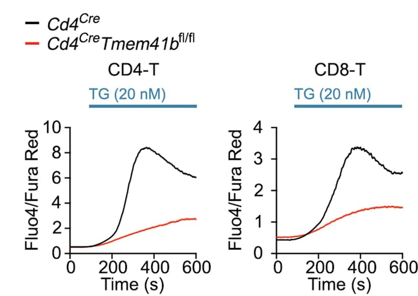 Open access visualization of Line Plot, Flow Cytometry, Ca 2+ Influx, SOCE, T Cells