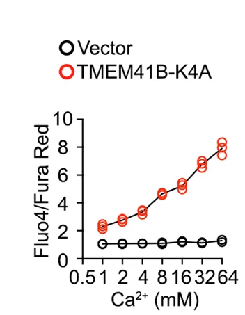 Open access visualization of Line Plot, Scatter Plot, Flow Cytometry, Calcium Influx, Calcium Chloride