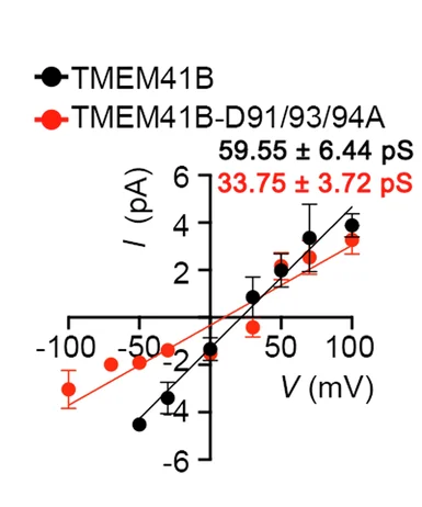 Open access visualization of Scatter Plot, Regression Plot, Error Bars, I-V Curve, TMEM41B