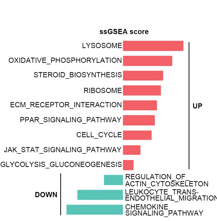 Open access visualization of Bar Plot, Gene-set Enrichment Analysis, Upregulated Genes, Downregulated Genes, TMEM41B-deficient Naive T Cells