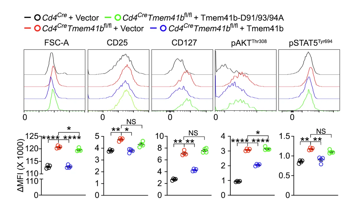 Open access visualization of Line Plot, Scatter Plot, Activated CD4 T Cells, Retroviral Transduction, Flow Cytometry