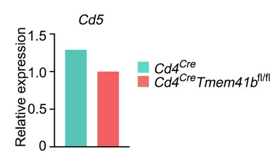 Open access visualization of Bar Plot, Clustered, mRNA Levels, Naive T Cells, Control Mice