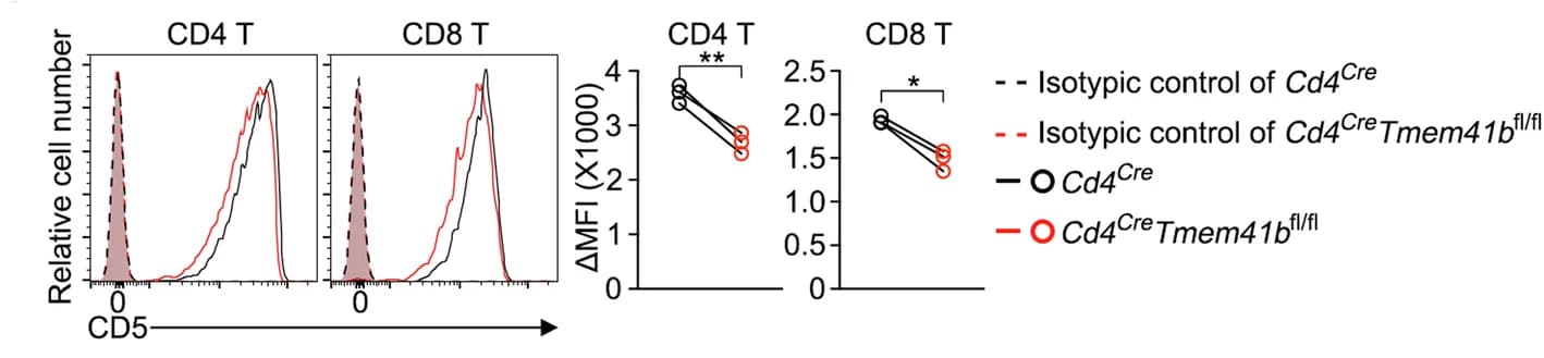 Open access visualization of Line Plot, Density Plot, Scatter Plot, Flow Cytometry Analysis, CD5 Expression