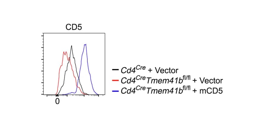Open access visualization of Line Plot, Density Plot, Flow Cytometry Analysis, CD5 Expression, CD8 T Cells