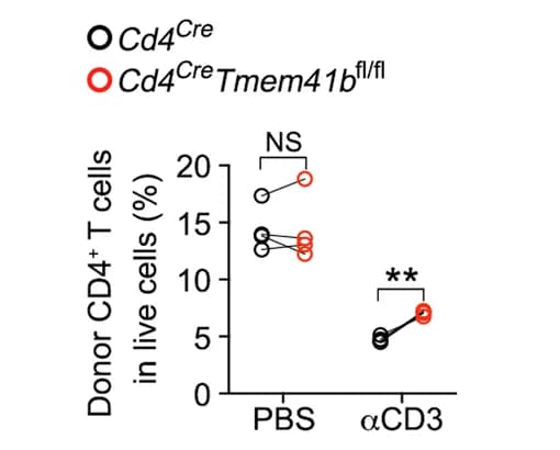 Open access visualization of Scatter Plot, CD4 T Cells, Control Mice, TMEM41B-Deficient Mice, NSG Mice