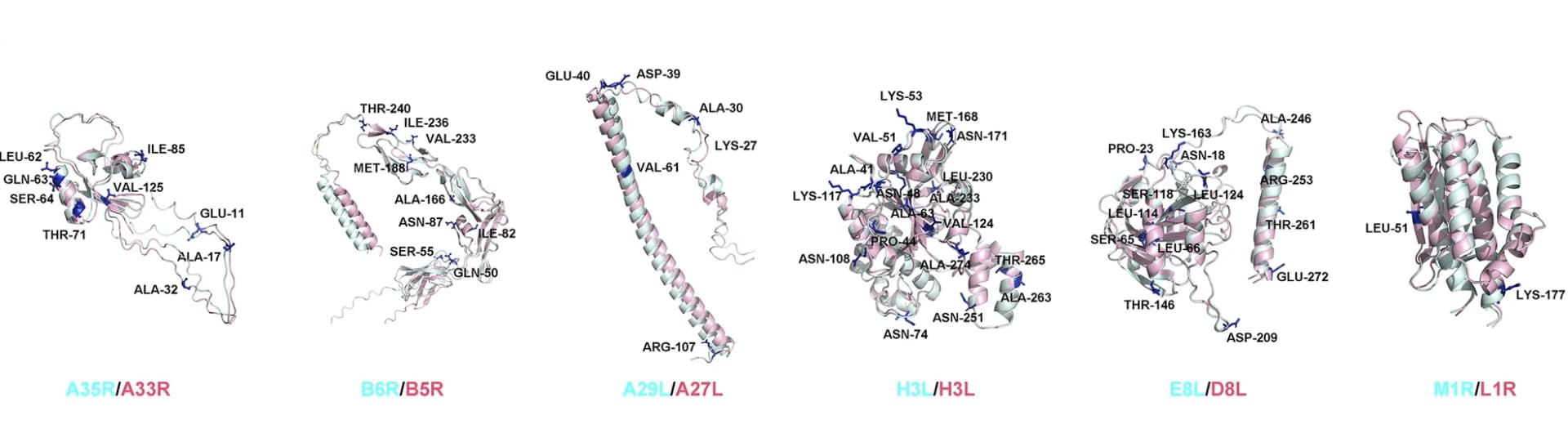 Open access visualization of Protein Structure, Membrane Proteins, Neutralization Targets, Vaccine Formulations, Antigen Screening