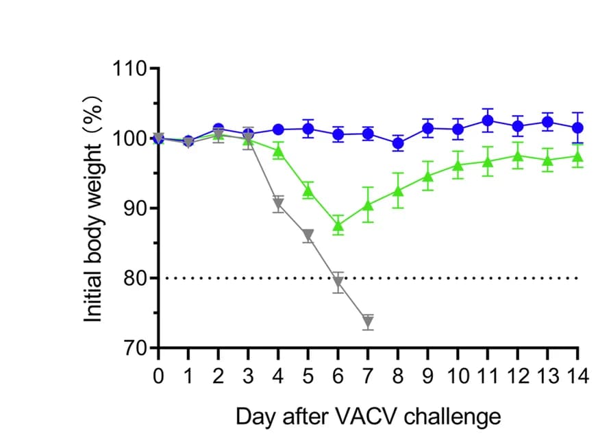 Open access visualization of Line Plot, Error Bars, Body Weight Changes, Balb/c Mice