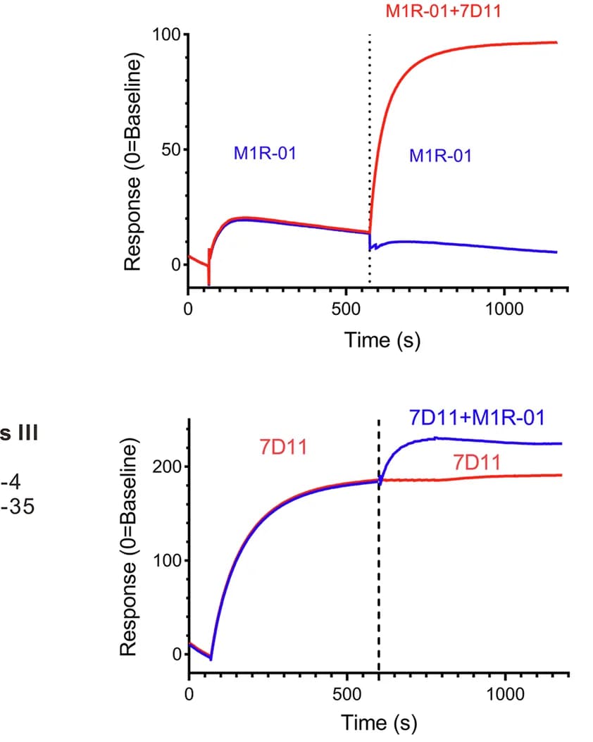 Open access visualization of Line Plot, SPR, Epitope Competition Assay, M1R-01, 7D11