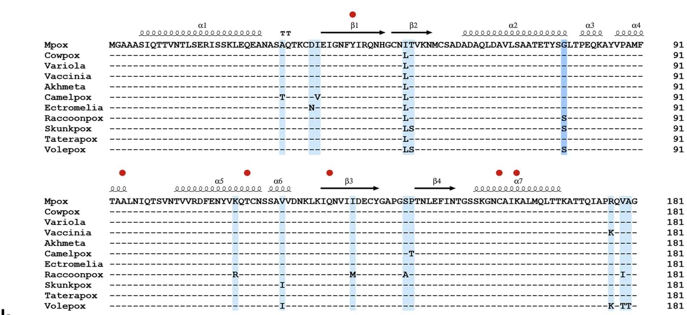 Open access visualization of Illustration, Table Image, M1R Extracellular Domain, Viral Strains, Orthopoxvirus