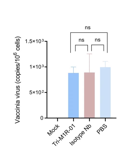 Open access visualization of Bar Plot, Error Bars, Cell-Bound Virus, Quantification, Antibodies
