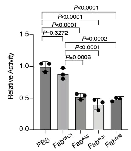 Open access visualization of Bar Plot, Error Bars, HH Signaling Assay, Fabs, Dual-Luciferase Reporter Assay