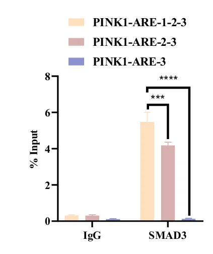 Open access visualization of Bar Plot, Error Bars, Clustered, ChIP Analysis, SMAD3