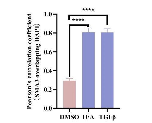 Open access visualization of Bar Plot, Error Bars, SMAD3, DAPI, Colocalization