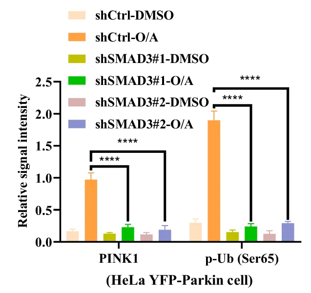 Open access visualization of Bar Plot, Error Bars, Clustered, Proteins, GAPDH