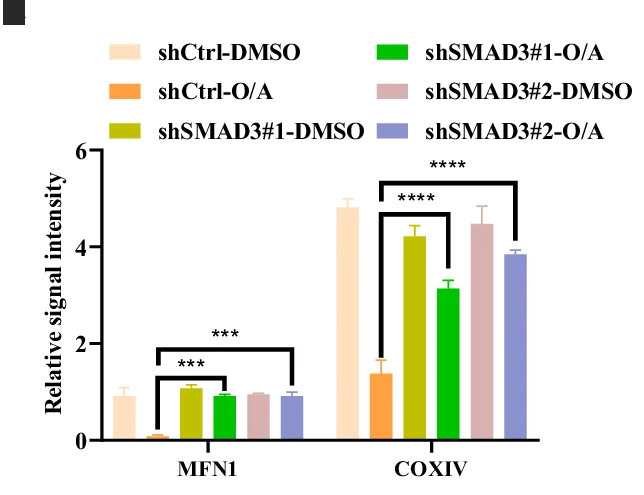 Open access visualization of Bar Plot, Error Bars, Clustered, Proteins, GAPDH