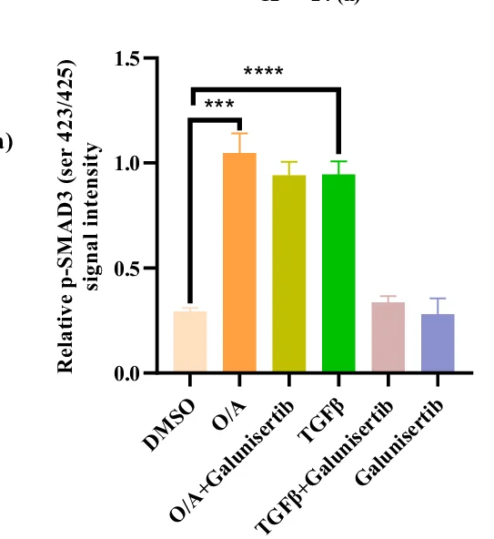 Open access visualization of Bar Plot, Error Bars, Proteins, Quantification, GAPDH
