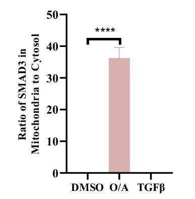 Open access visualization of Bar Plot, Error Bars, SMAD3, Mitochondria, Cytosol