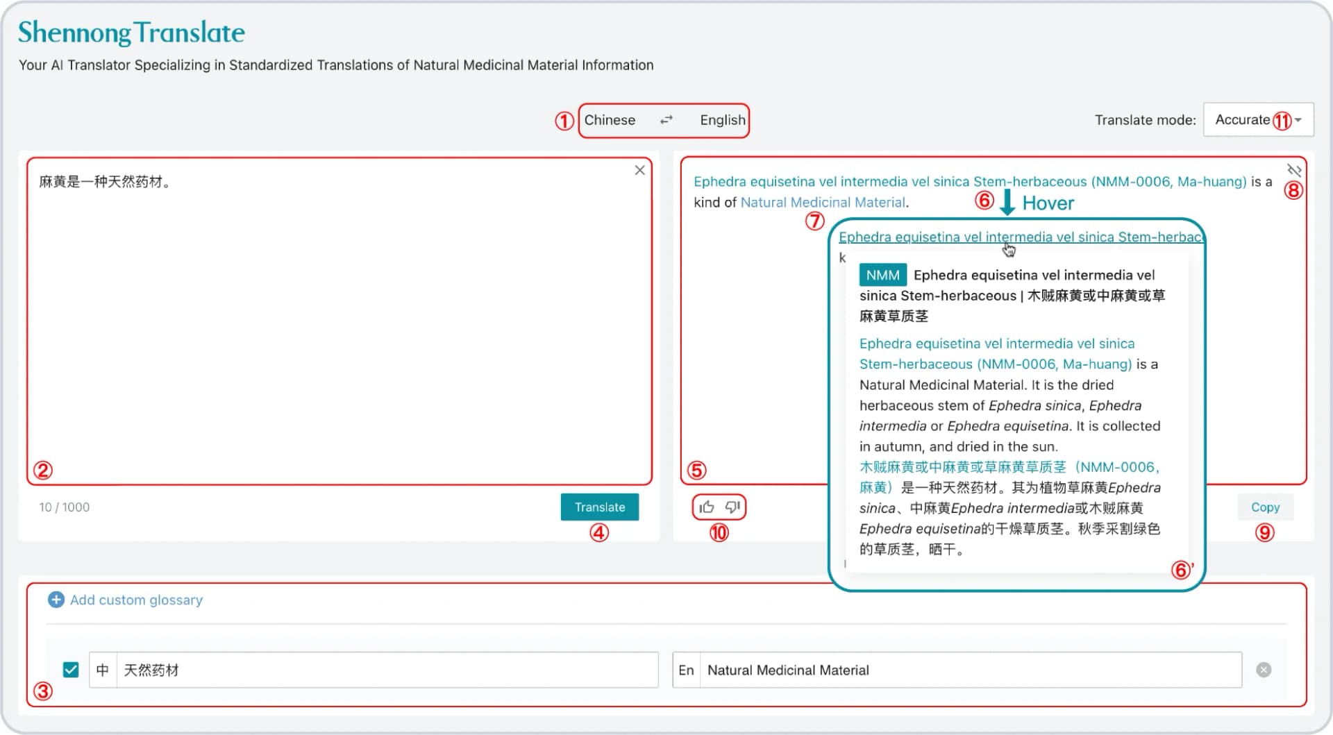 Open access visualization of Illustration, Workflow, Translation, NMM Terms, User Customization